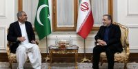 دیدار وزیر کشور پاکستان با عراقچی دیدار وزیر کشور پاکستان با عراقچی