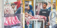 پتانسیل مفغول در بازار پروتئین