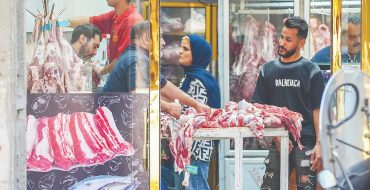 پتانسیل مفغول در بازار پروتئین
