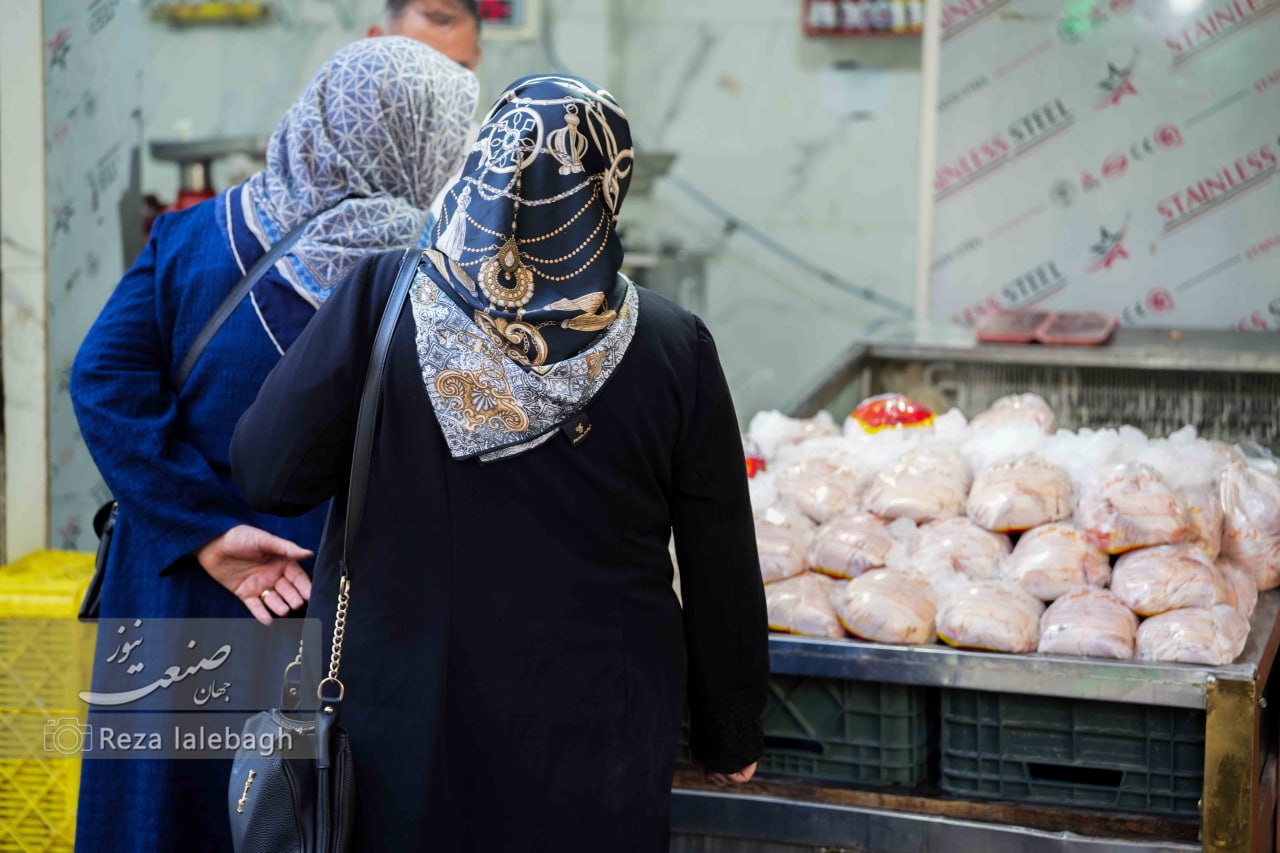 قیمت مرغ در بازار، ارزان‌تر از نرخ تعادلی است/صادرات آغاز می‌شود