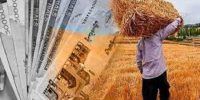 ۹ هزار میلیارد تومان از مطالبات گندمکاران پرداخت شد