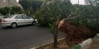 آماده‌باش نارنجی در تهران؛ طوفان گرد و خاک در راه پایتخت