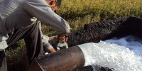طرح تشویقی برق رایگان برای کشاورزان صرفه جو در فارس