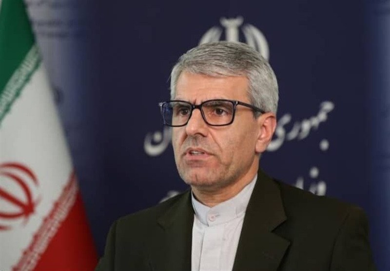 بقائی: امروز، سالروز یکی از شنیع‌ترین جنایات آمریکا علیه ملت ایران است