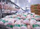 تناقض عیان بازار مرغ