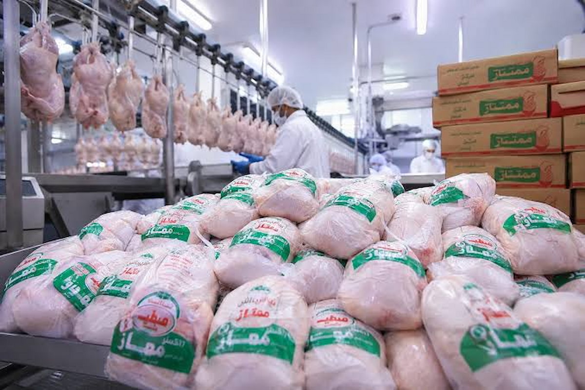 تناقض عیان بازار مرغ