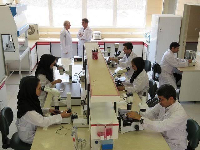 شروط معافیت دانشجویان از آزمون پایان دوره اعلام شد