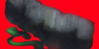 تاب‌آوری؛ فضیلت جهان بحران‌زده