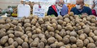 قیمت میوه در میادین ترهبار؛ سیبزمینی در آستانه ۴۵ هزار تومان قیمت میوه در میادین ترهبار؛ سیبزمینی در آستانه ۴۵ هزار تومان