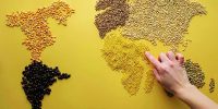 لزوم تثبیت مصوبات تسهیلگر برای کل سال