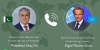 گروسی با وزیر خارجه پاکستان درباره تحولات منطقه و پیشبرد دیپلماسی گفت وگو کرد گروسی با وزیر خارجه پاکستان درباره تحولات منطقه و پیشبرد دیپلماسی گفت وگو کرد