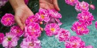 نوشیدنی که به آرامش و سلامت بدن کمک کند نوشیدنی که به آرامش و سلامت بدن کمک کند