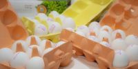 تخم‌مرغ ۶۰۰ هزار تومانی؛ چرا با وجود مازاد تولید، قیمت‌ها پایین نمی‌آید؟