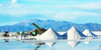 جایگاه طلای سفید در اقتصاد ایران