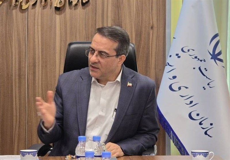 رفیع‌زاده: اجرای مصوبه ساماندهی نیروهای شرکتی از همین ماه آغاز می‌شود