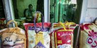 قیمت برنج ارزان شد