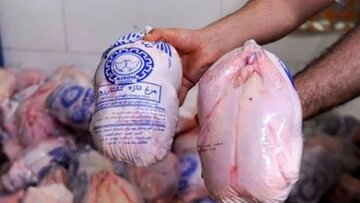 مرغ کامل کیلویی چند؟